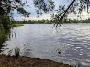 IMG 20221228 123428 552 300x225