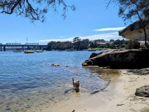 IMG 20231126 215245 347 300x226