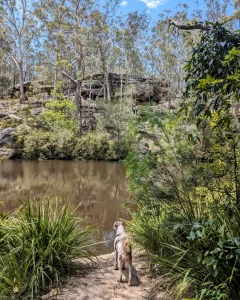 IMG 20231221 083356 975 240x300