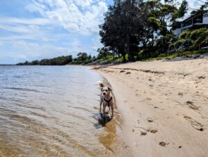 PXL 20231217 0404369502 300x226