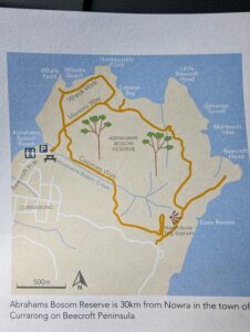 PXL 20231217 224934286 226x300