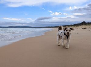 PXL 20231219 0455497792 300x221