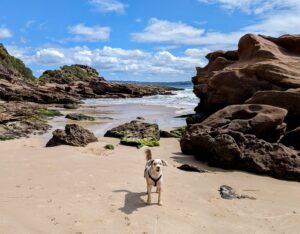 PXL 20231221 2330057572 300x234