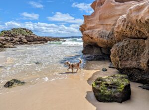 PXL 20231221 2330476632 300x222