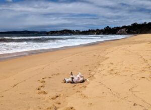 PXL 20231222 0048023312 300x219