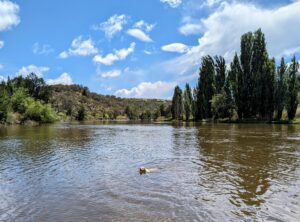 PXL 20231226 0016022532 300x222