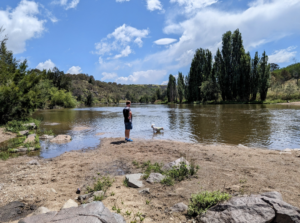 Screenshot 20240101 174014 300x223