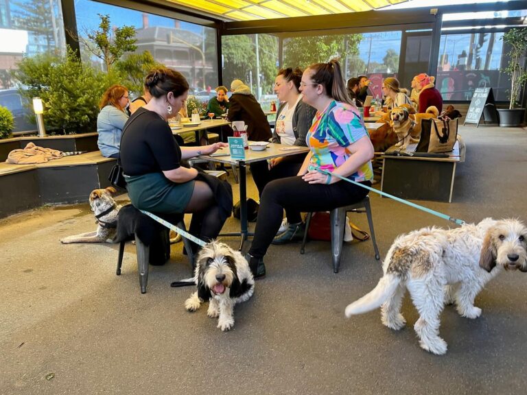 Up in Smoke 21 768x576