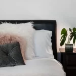 cottage 4a dog friendly accommodation 11 150x150