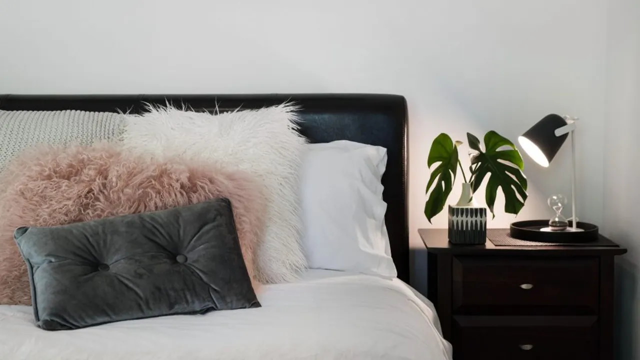 cottage 4a dog friendly accommodation 11