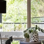 cottage 4a dog friendly accommodation 7 150x150