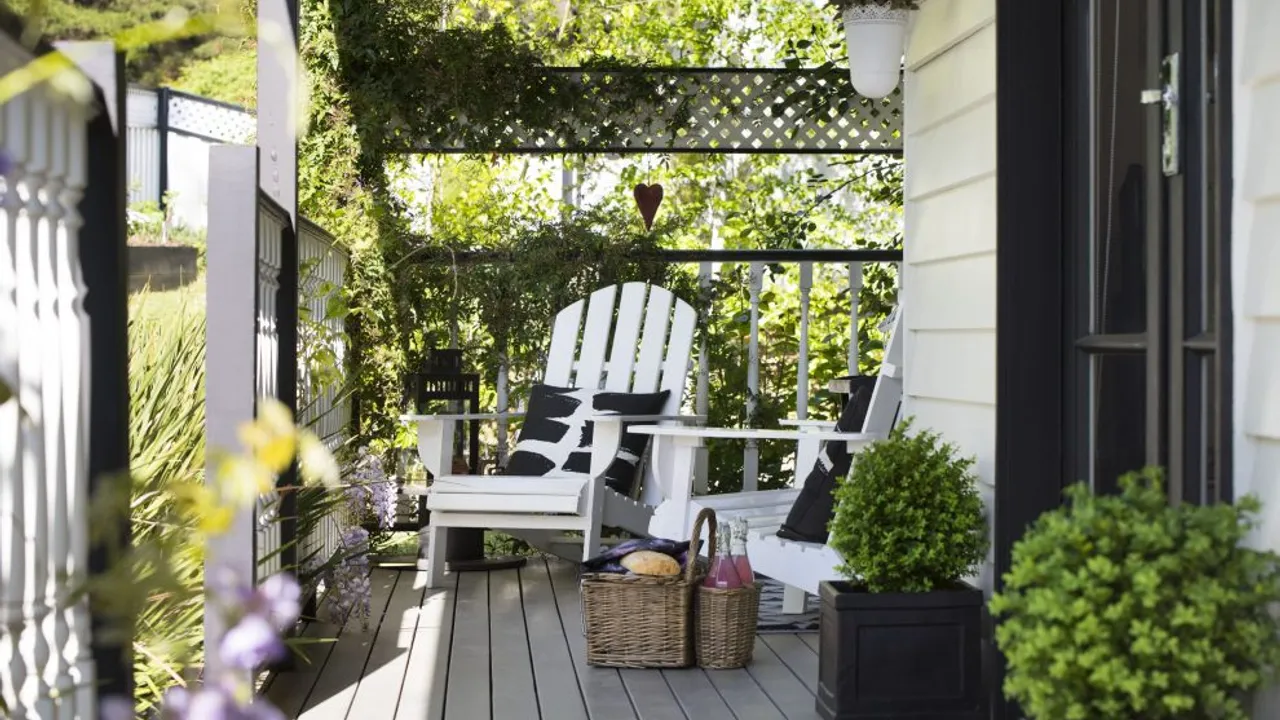 cottage 4a dog friendly accommodation 9