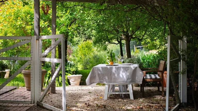 gold finch dog friendly accommodation 1 768x432