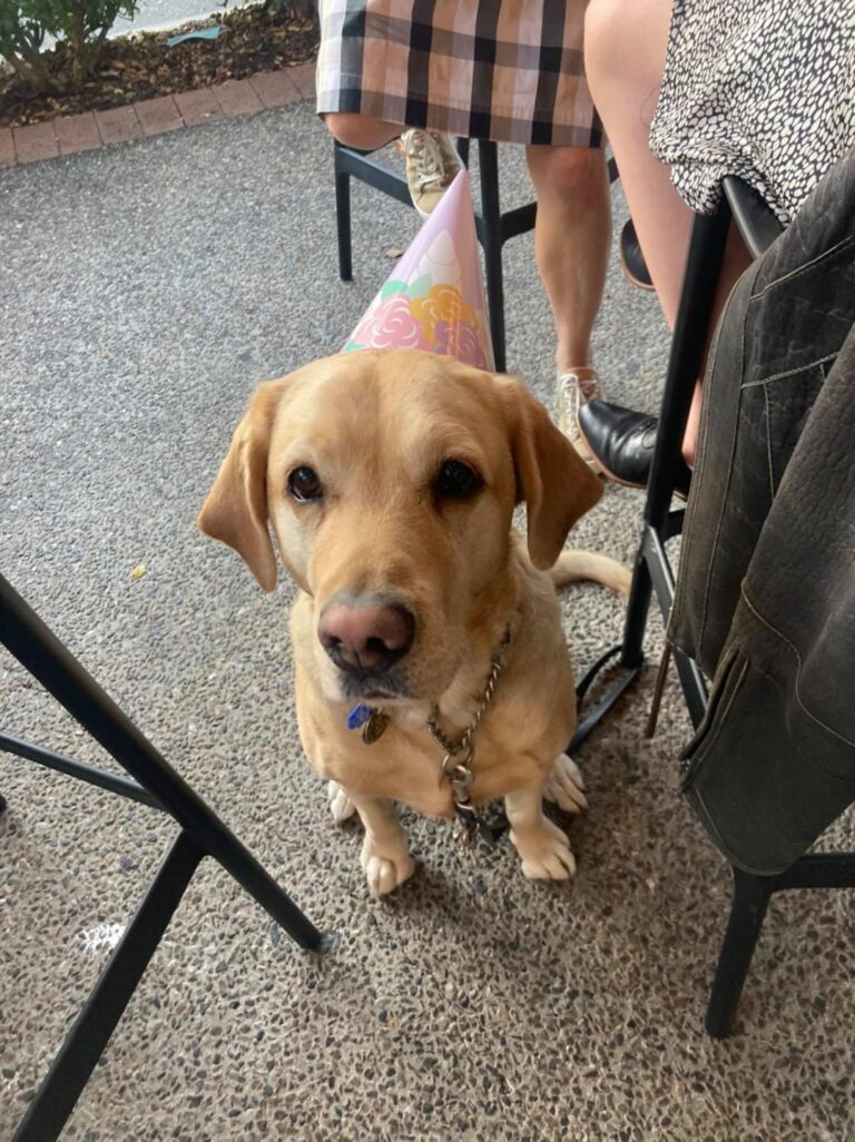 Common Vice 2 768x1026