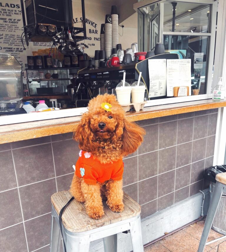 Jonos Kitchen 3 768x856