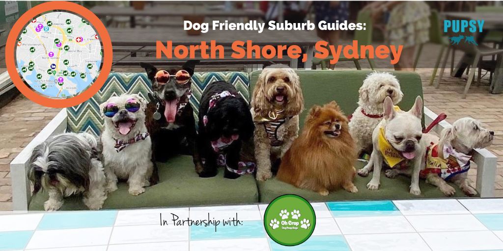 dog-friendly-north-shore-ohcrap
