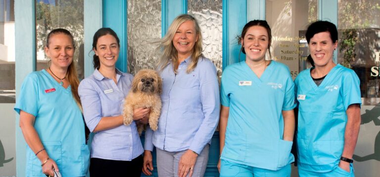 Balmain Village Vet 768x359