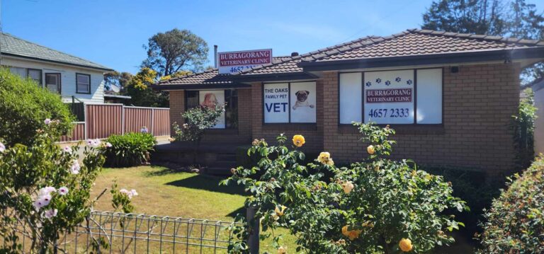 Burragorang Vet 768x359