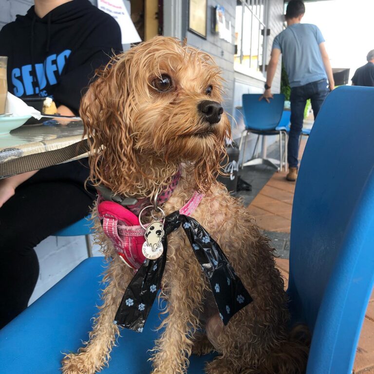 Gnostic Mana 10 768x768