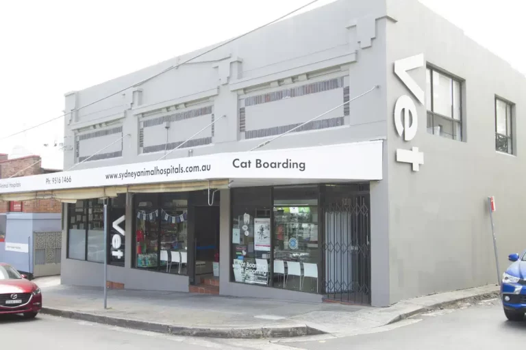 SAH Inner West 1 768x512