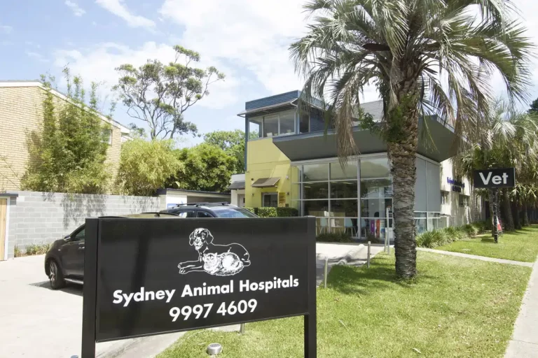 SAH Newport 1 768x512