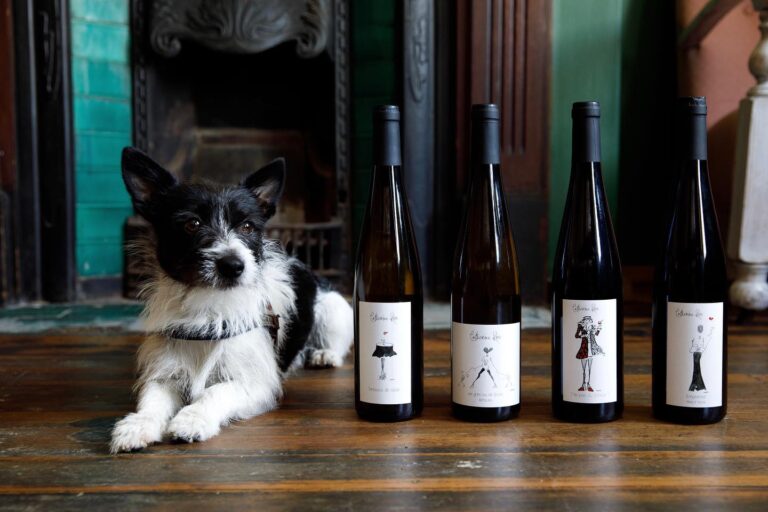 Wheres Nick 4 768x512