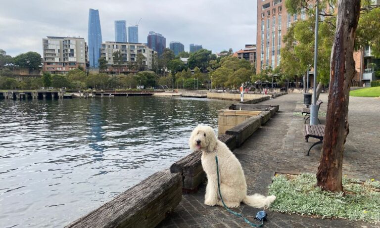 Three Park Walk 1 768x461