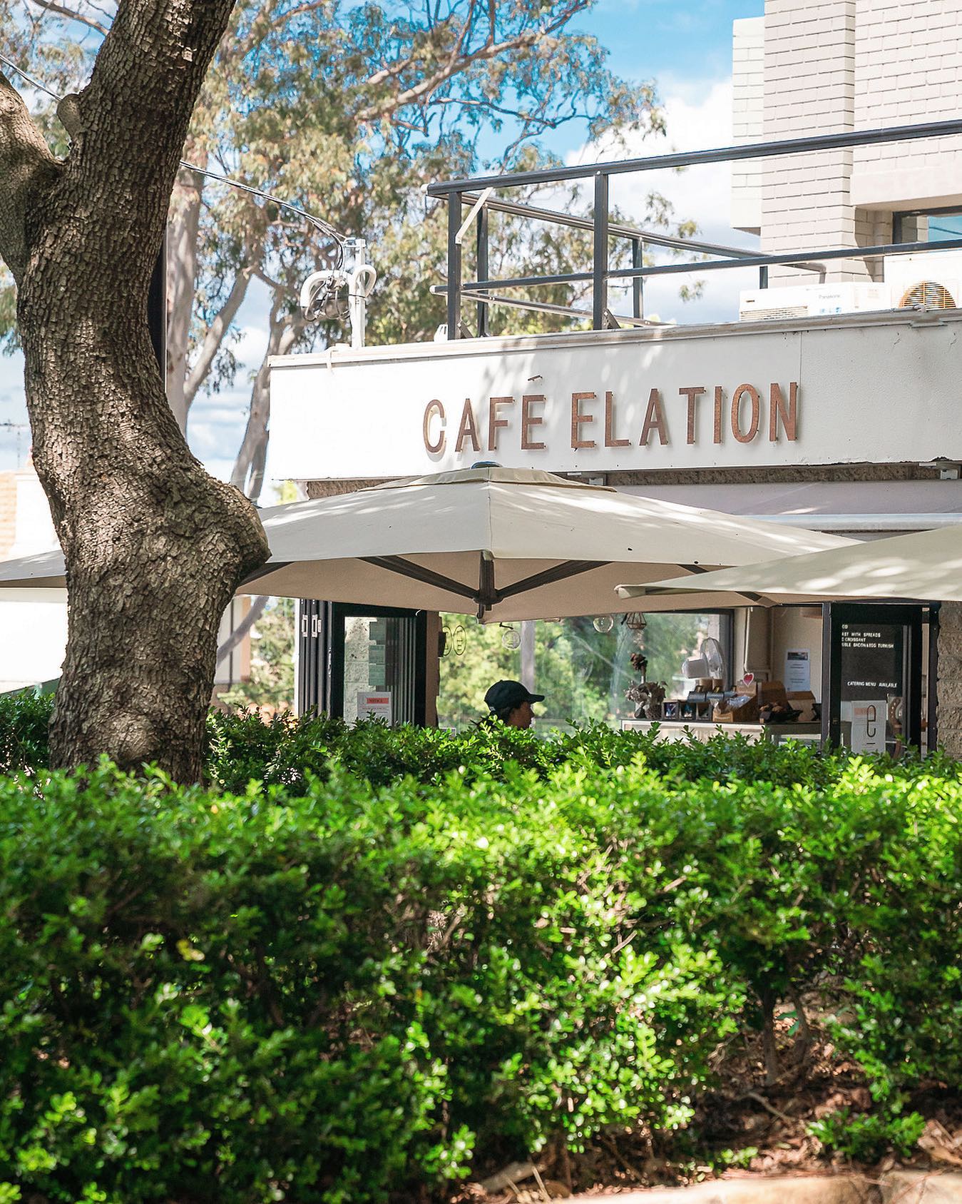 Cafe Elation 6