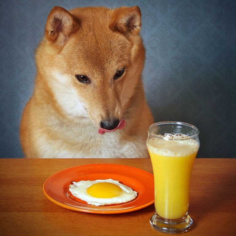 Cafe Elation 7 768x768