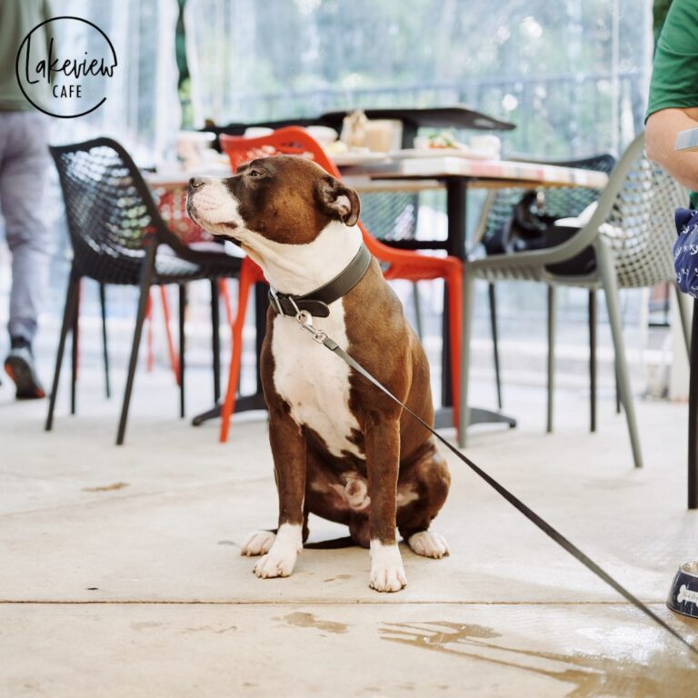 Lakeview Cafe 1 768x768