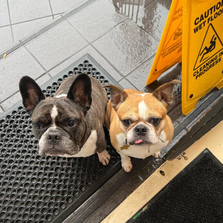 Terra Cotta Roasters 3 768x768