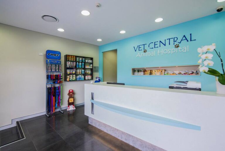 Vet Central Earlwood 768x515