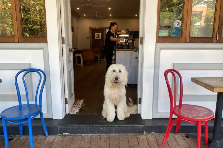 Zubi Bar 900600 1 768x512