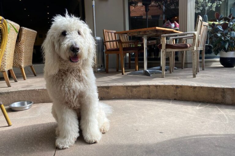 Limelight Cafe 4 768x512