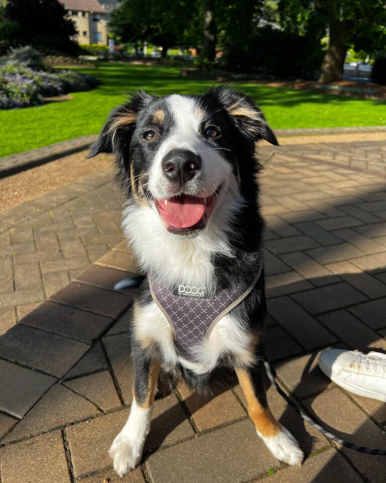 Il Pranzo 3 1 768x960