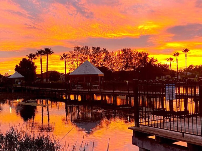 Passionate Palate 5 768x576