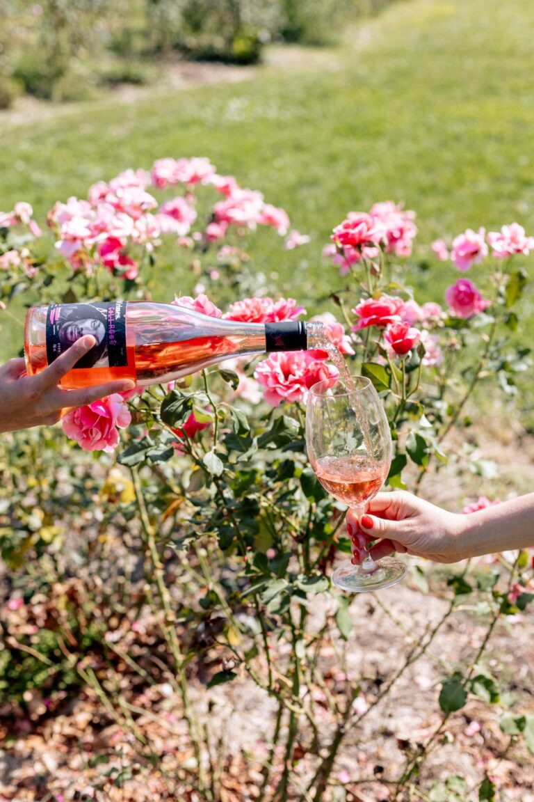 Rosas at the Lawns 1 768x1152