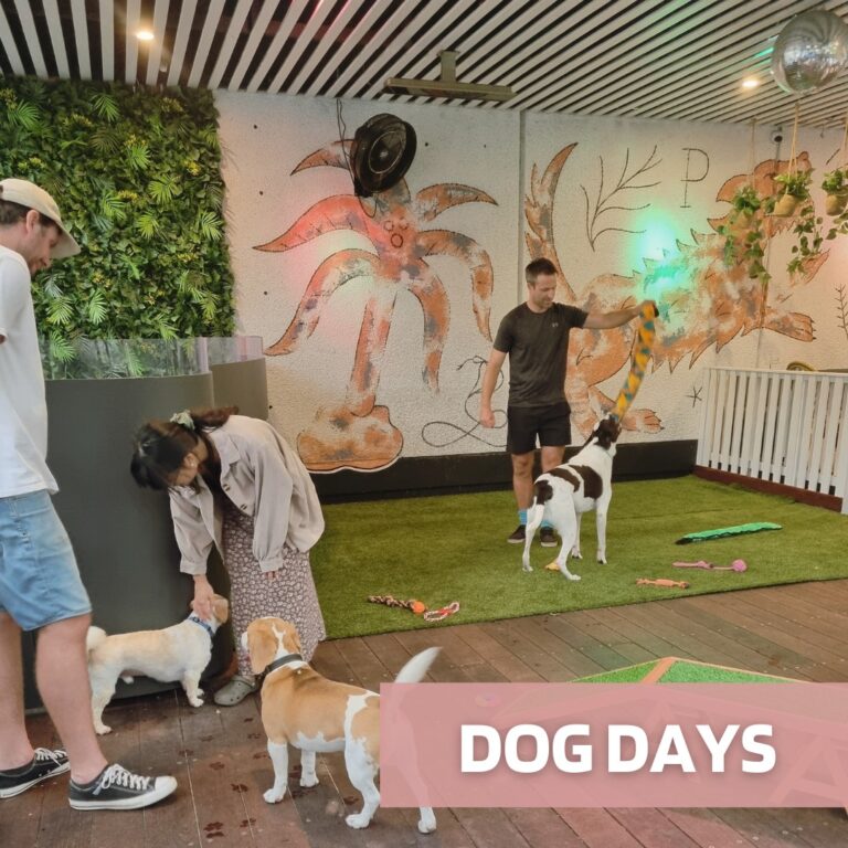 The Prince 2 768x768