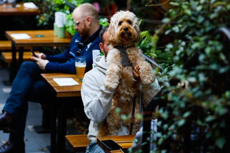 The Terminus Hotel Abbotsford 2 768x512