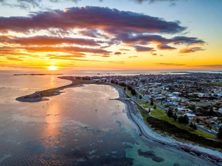 raeside home dog friendly accommodation 4 768x575