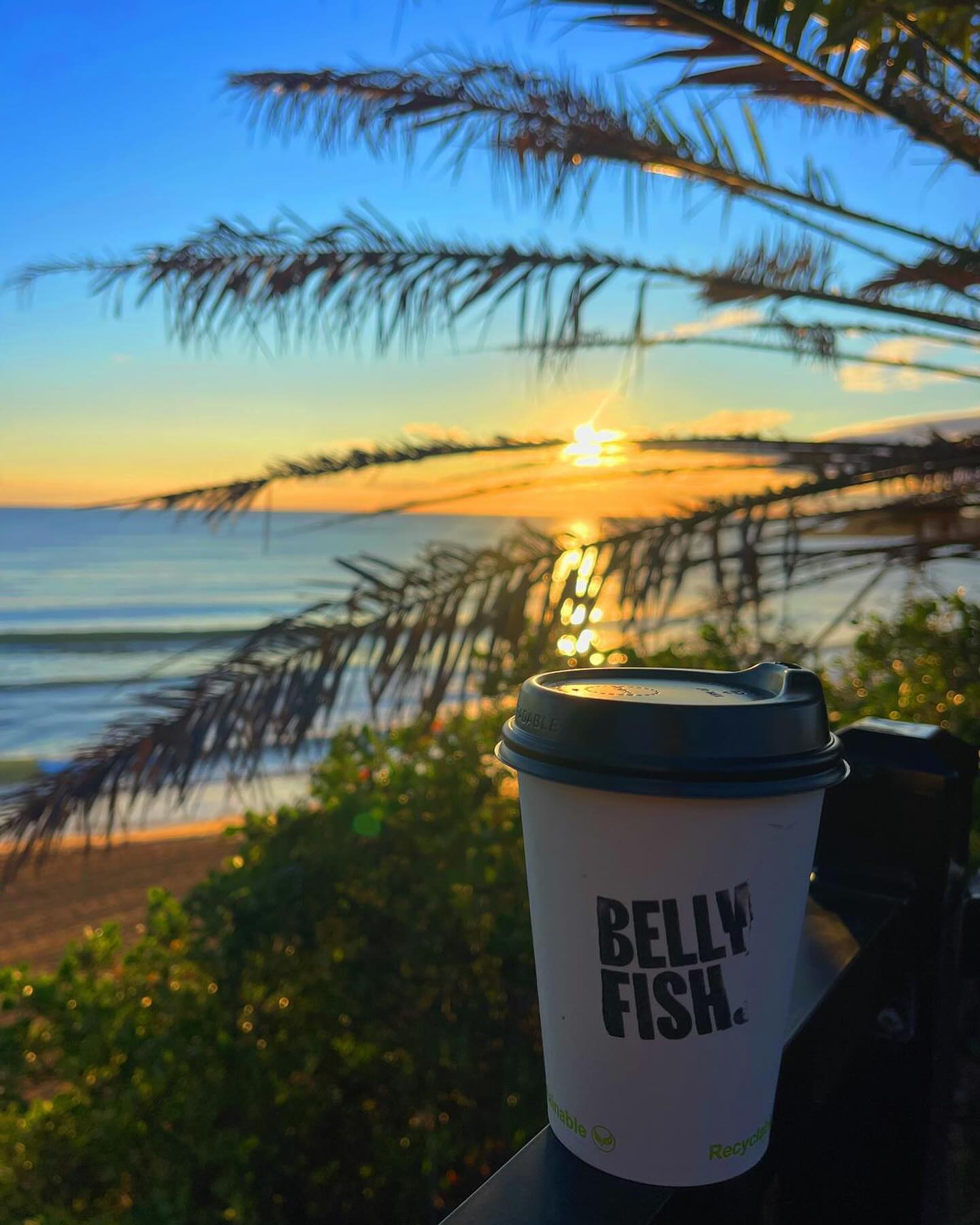 Bellyfish Terrigal 2