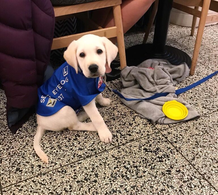 Square Compass 1 768x687