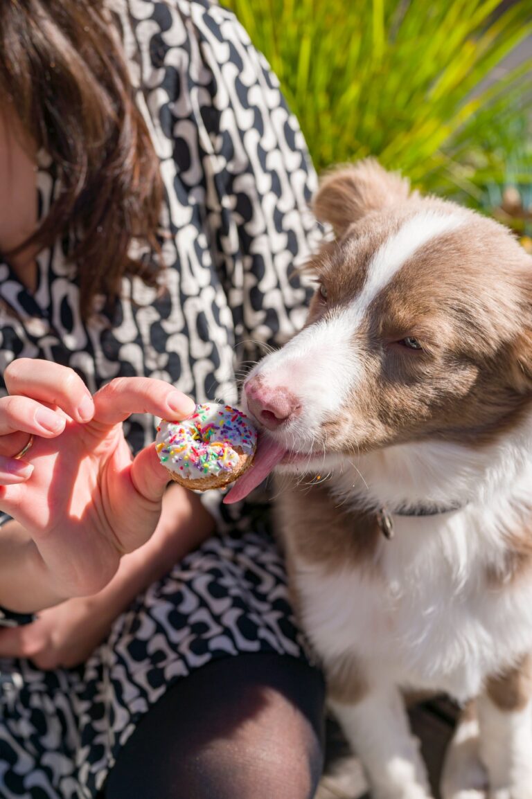 Chicken or the Egg 5 768x1154