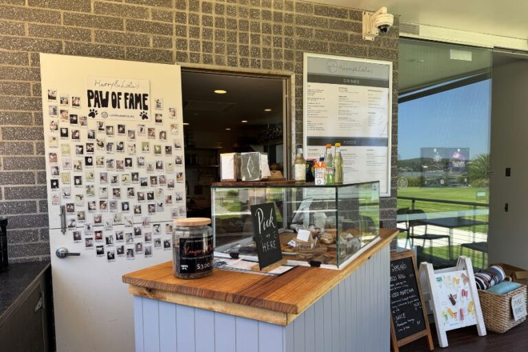 Harry Lolas 5 768x512