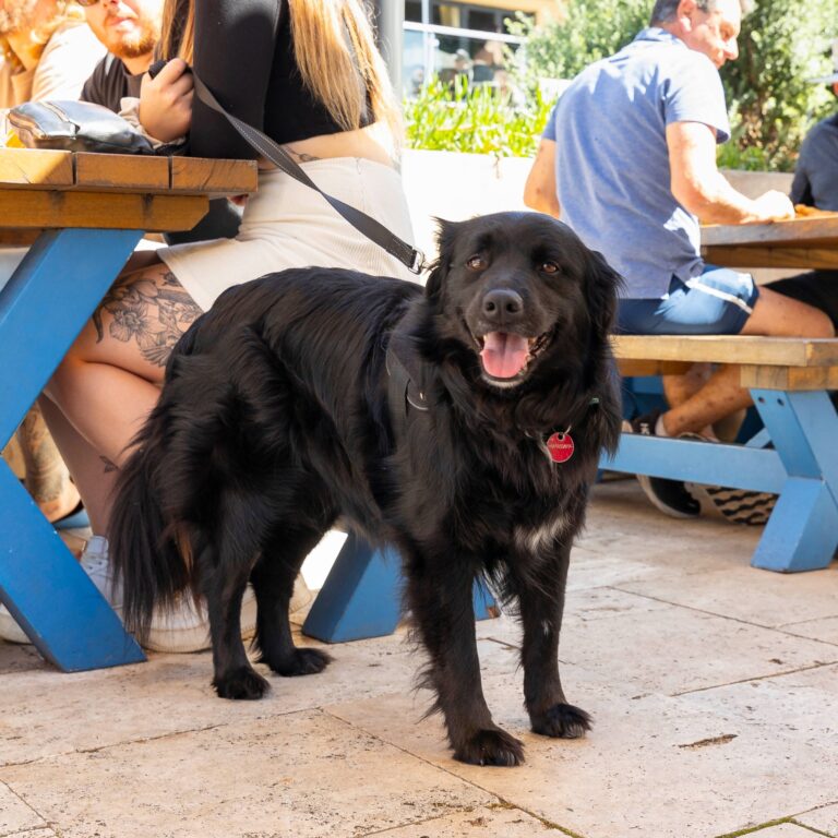 Huskisson Hotel 4 768x768