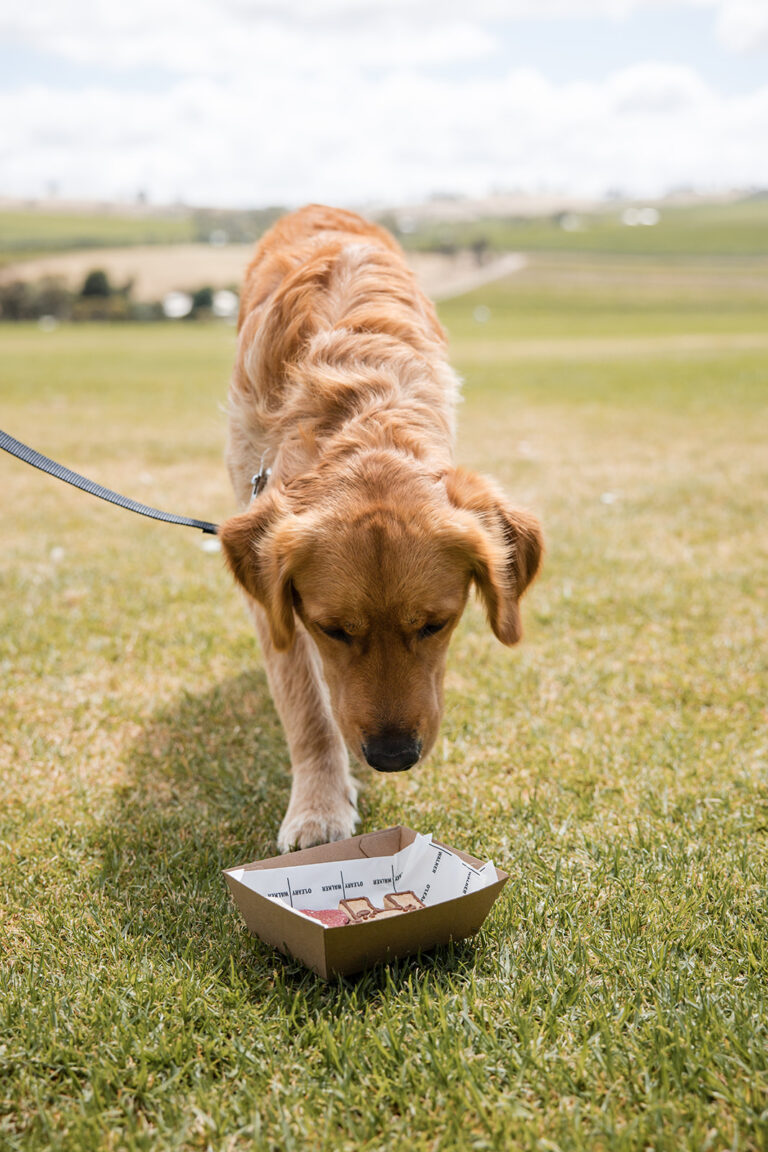 OLeary Walker Wines 1 768x1152