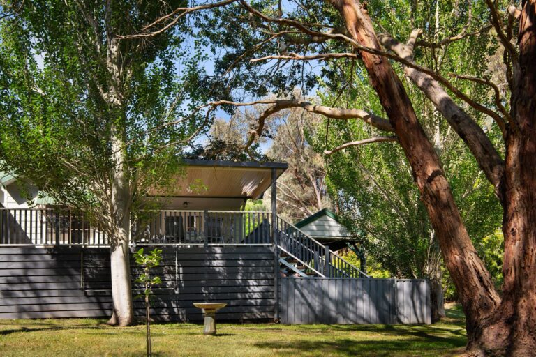 lucini two dog friendly accommodation 1 768x512