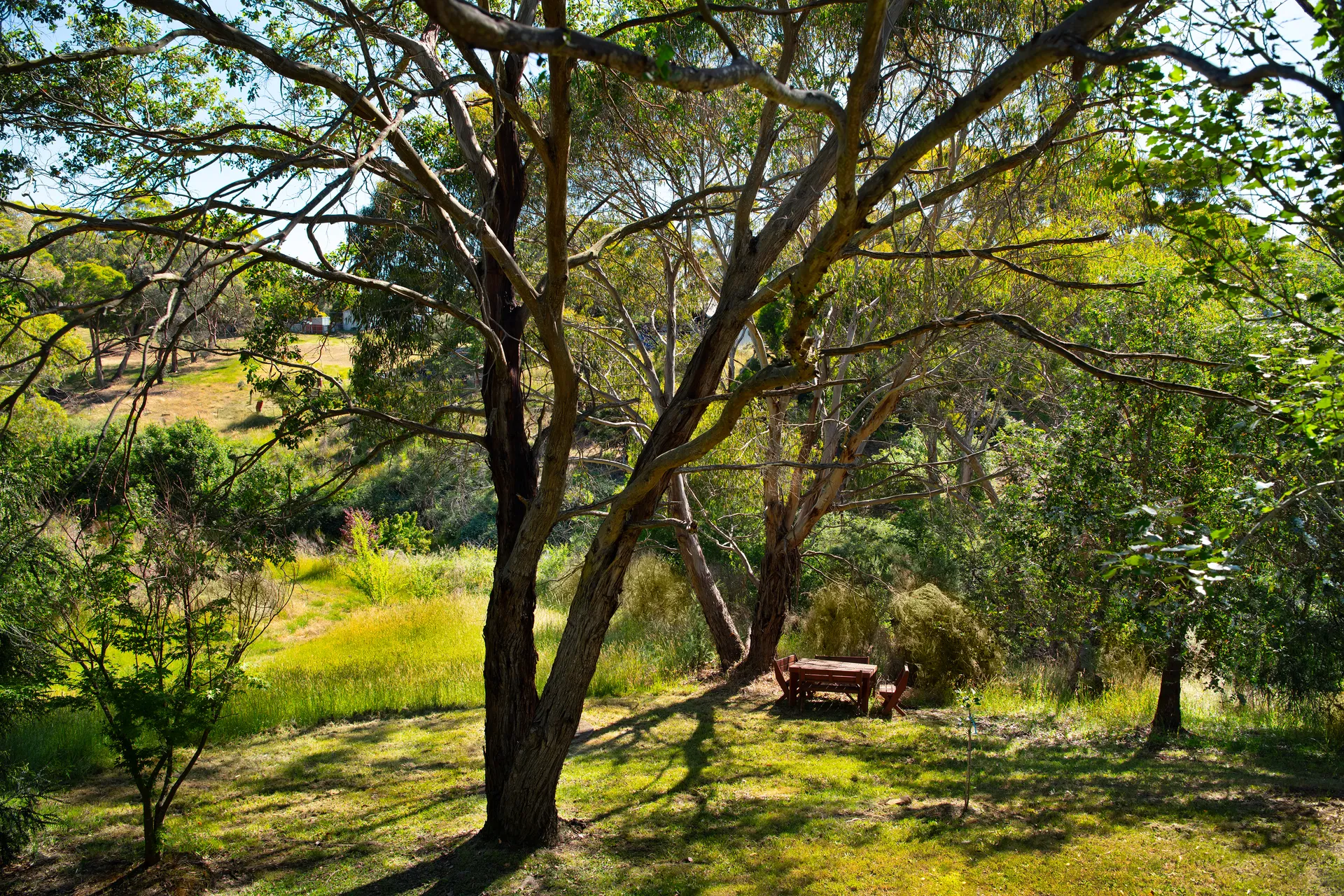 lucini two dog friendly accommodation 12