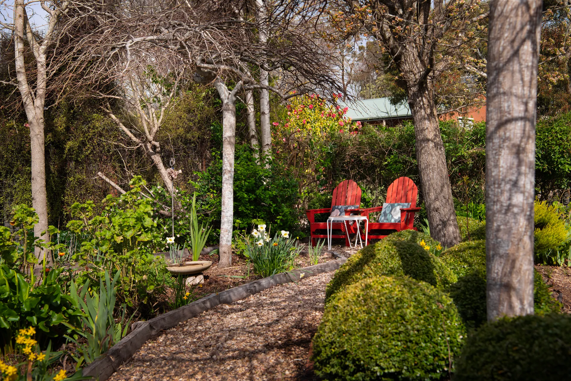 raven cottage dog friendly accommodation 3