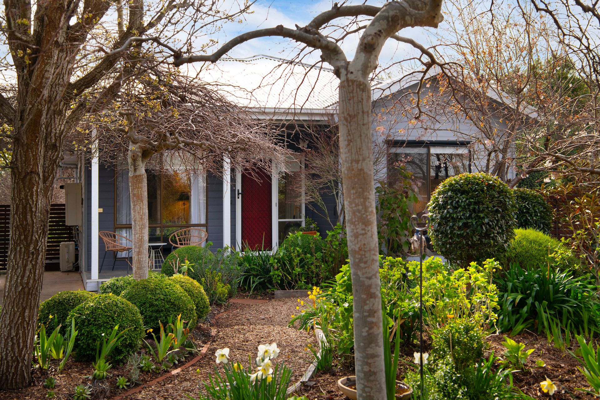 raven cottage dog friendly accommodation 7